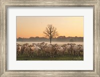 Just Come Cows and A Dead Tree Fine Art Print