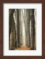 Narrow Alley in the Netherlands Fine Art Print