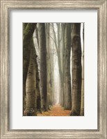 Narrow Alley in the Netherlands Fine Art Print