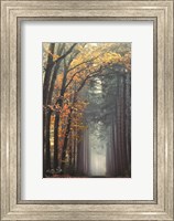 To Another World Fine Art Print