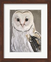 Barn Owl Fine Art Print