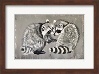 Two Raccoons Fine Art Print
