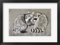 Two Raccoons Fine Art Print