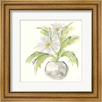 Plant Daisy II Fine Art Print
