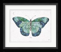 Outdoor Beauties V Color Framed Print