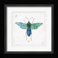 Outdoor Beauties X Color Framed Print