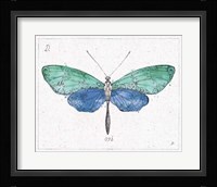 Outdoor Beauties VI Color Framed Print