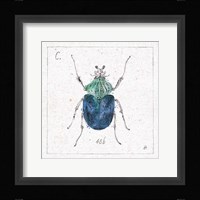 Outdoor Beauties IX Color Framed Print