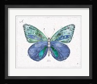 Outdoor Beauties III Color Framed Print