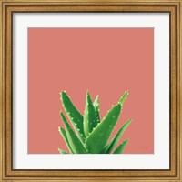 Succulent Simplicity V Coral Fine Art Print