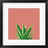 Succulent Simplicity V Coral Fine Art Print