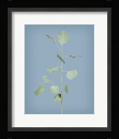 Simple Stems I Blue Crop Fine Art Print