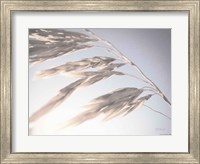 Windy Wheat Fields II Light Fine Art Print