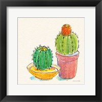 Cacti Garden III Framed Print