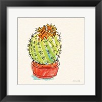 Cacti Garden II Framed Print