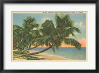 Florida Postcard III Fine Art Print
