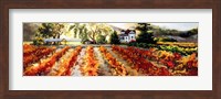 Golden Vineyard Fine Art Print