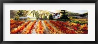 Golden Vineyard Fine Art Print