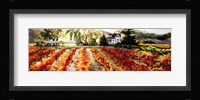 Golden Vineyard Fine Art Print