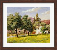 California Spring Fine Art Print