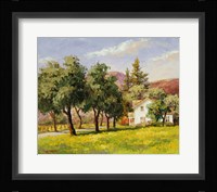 California Spring Fine Art Print