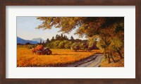Dry Creek Autumn Fine Art Print