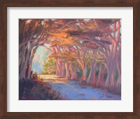 Tree Tunnel Fine Art Print