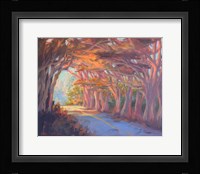 Tree Tunnel Fine Art Print