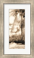 Equatorial Breeze II Fine Art Print