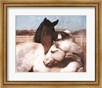 White and Chestnut Horses Fine Art Print