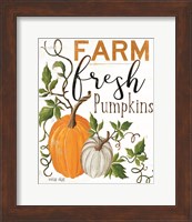 Farm Fresh Pumpkins Fine Art Print