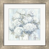 White Hydrangeas Fine Art Print
