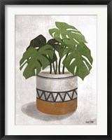 Monstera Plant Fine Art Print
