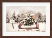 Rustic Christmas Trees Fine Art Print