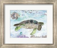 Swimming Sea Turtle Fine Art Print
