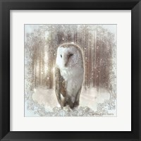 Enchanted Winter Owl Fine Art Print