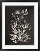 Vintage Chalkboard Flowers Fine Art Print