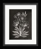 Vintage Chalkboard Flowers Fine Art Print