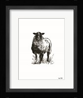 Farmhouse Sheep Fine Art Print