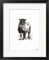 Farmhouse Sheep Fine Art Print