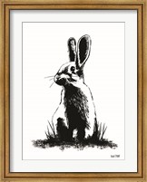 Farmhouse Rabbit Fine Art Print