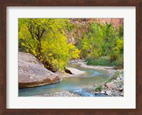 Utah Zion National Park, Virgin River Fine Art Print