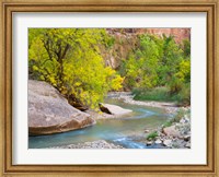 Utah Zion National Park, Virgin River Fine Art Print