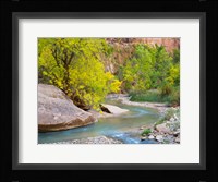Utah Zion National Park, Virgin River Fine Art Print