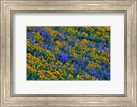 Wildflowers Bloom On Hillside Fine Art Print