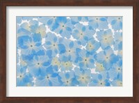 Layout Of Hydrangea Blossoms Fine Art Print