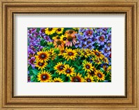 Painted Tongue And Hirta Daisies In Tight Grouping Fine Art Print