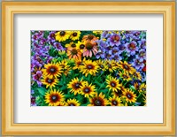 Painted Tongue And Hirta Daisies In Tight Grouping Fine Art Print