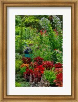 Garden Summer Flowers And Coleus Plants In Bronze And Reds, Sammamish, Washington State Fine Art Print