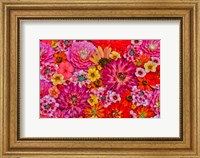 Flower Pattern With Large Group Of Flowers, Sammamish, Washington State Fine Art Print